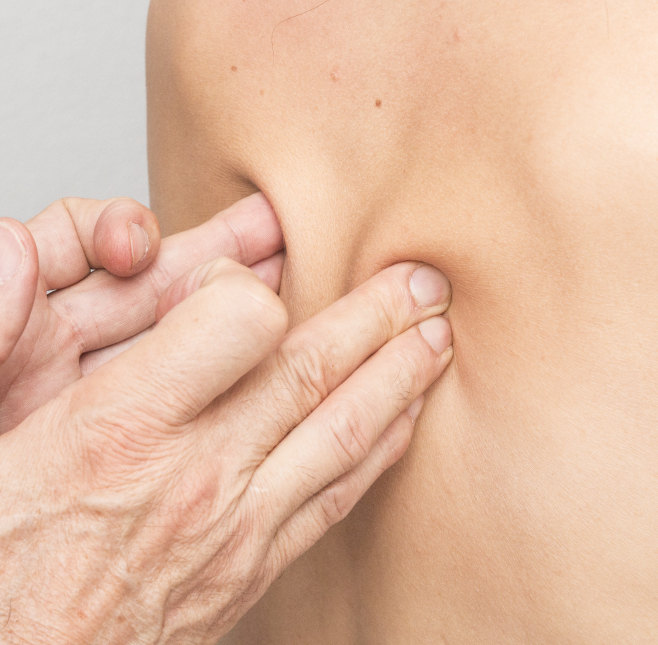 la kinesiologie en Touch For Health